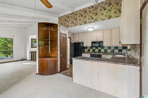 1748 Molly Drive Birmingham AL 35235