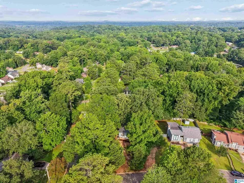 1748 Molly Drive Birmingham AL 35235