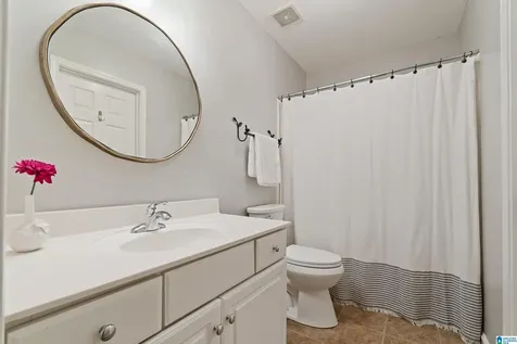 1133 Lake Colony Lane Vestavia Hills AL 35242