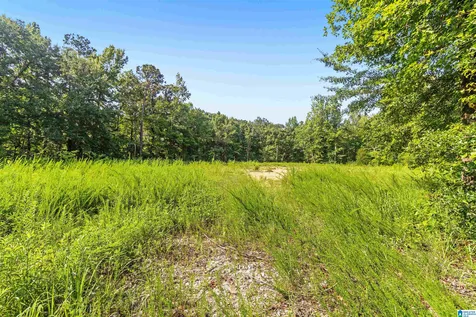 5312 Cahaba Valley Cove Birmingham AL 35242