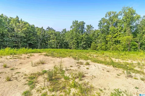 5312 Cahaba Valley Cove Birmingham AL 35242