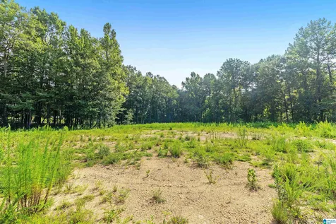 5312 Cahaba Valley Cove Birmingham AL 35242