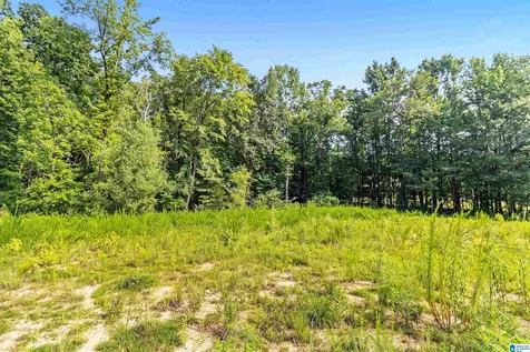 5312 Cahaba Valley Cove Birmingham AL 35242