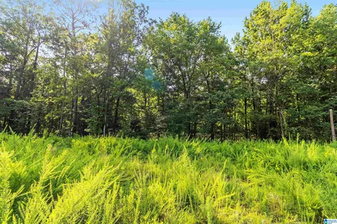 5312 Cahaba Valley Cove Birmingham AL 35242