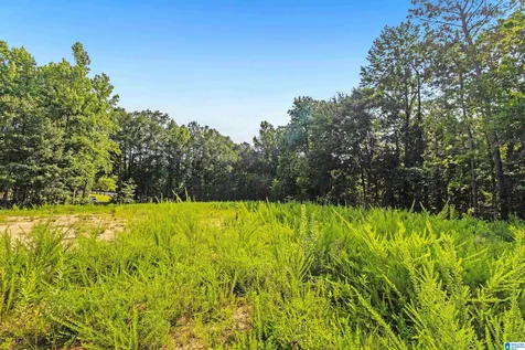 5312 Cahaba Valley Cove Birmingham AL 35242
