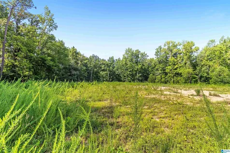 5312 Cahaba Valley Cove Birmingham AL 35242