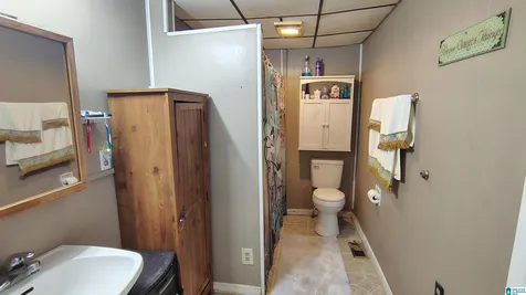 1334 Sunny Lane Mount Olive AL 35117