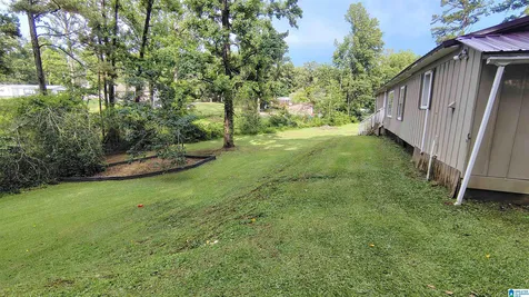 1334 Sunny Lane Mount Olive AL 35117