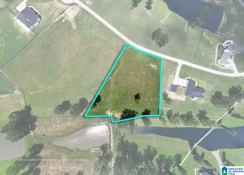 Lot 2 County Road 706 Cullman AL 35055