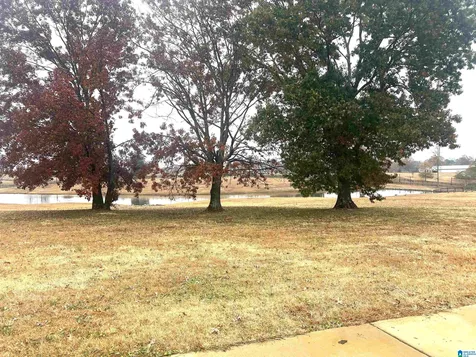 Lot 2 County Road 706 Cullman AL 35055