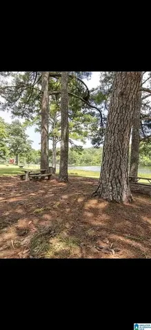 5637 Oak Mountain Lake Road Birmingham AL 35242