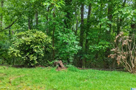 1916 Shades Cliff Terrace Homewood AL 35209