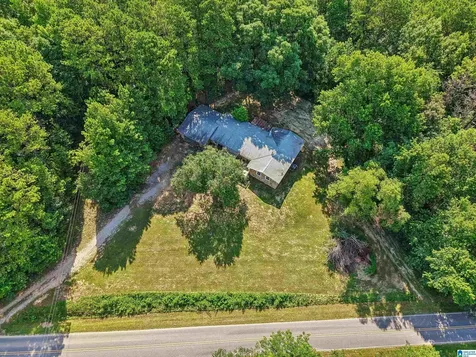 4363 County Road 5 Sylacauga AL 35151