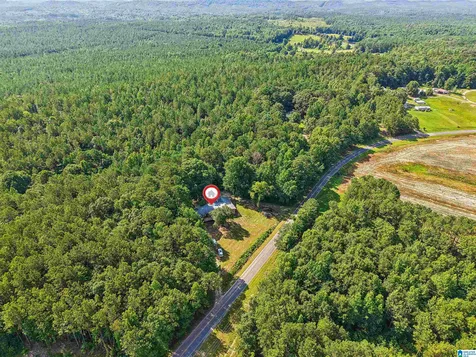 4363 County Road 5 Sylacauga AL 35151