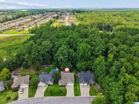 641 Meriweather Drive Calera AL 35040