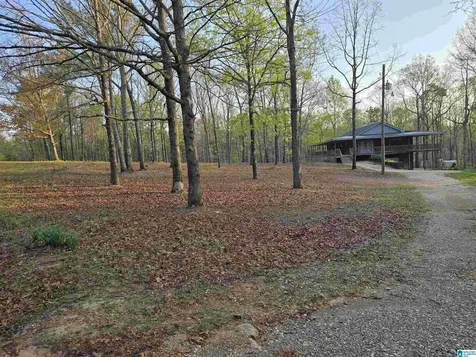 11971 Al Highway 22 Rockford AL 35136