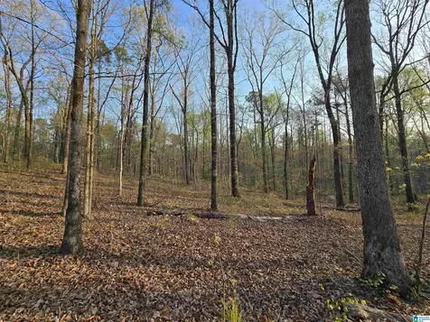 11971 Al Highway 22 Rockford AL 35136