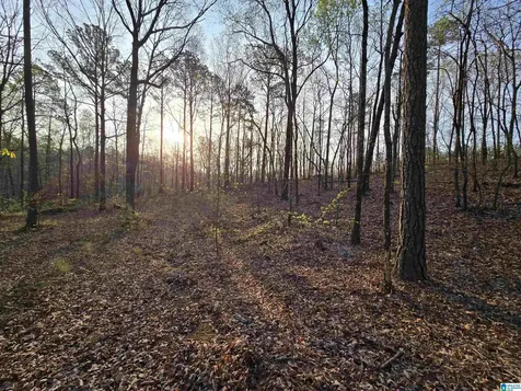 11971 Al Highway 22 Rockford AL 35136