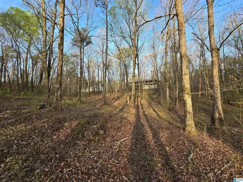 11971 Al Highway 22 Rockford AL 35136