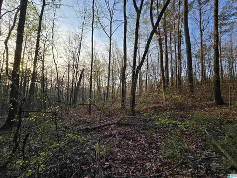 11971 Al Highway 22 Rockford AL 35136