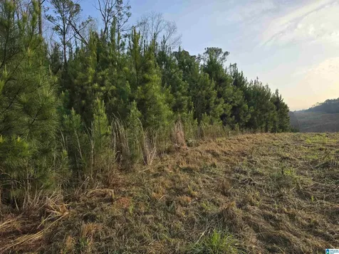 11971 Al Highway 22 Rockford AL 35136