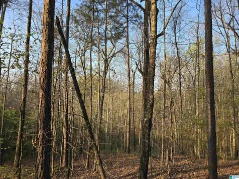 11971 Al Highway 22 Rockford AL 35136