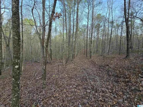 11971 Al Highway 22 Rockford AL 35136
