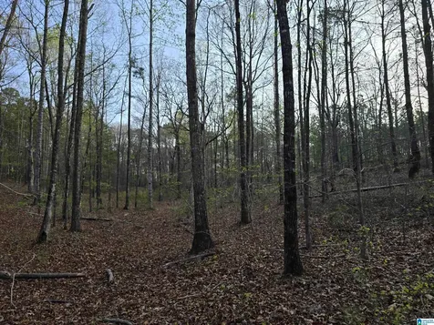11971 Al Highway 22 Rockford AL 35136