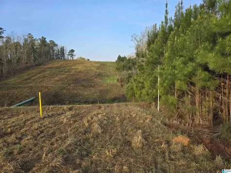 11971 Al Highway 22 Rockford AL 35136