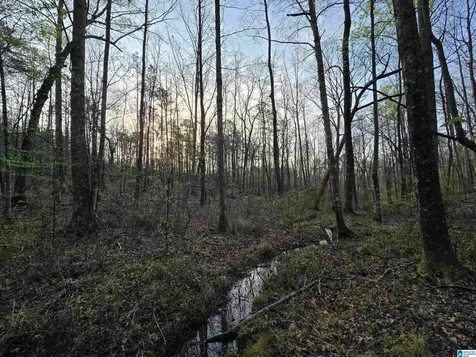 11971 Al Highway 22 Rockford AL 35136