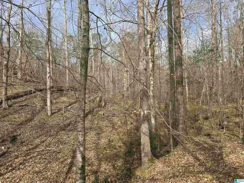 354 Springwell Road Rockford AL 35136