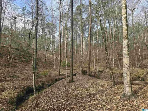 354 Springwell Road Rockford AL 35136