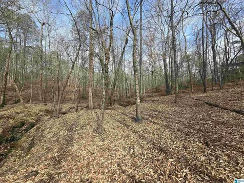 354 Springwell Road Rockford AL 35136
