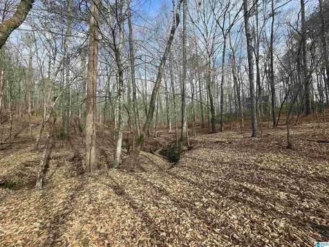 354 Springwell Road Rockford AL 35136
