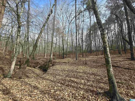 354 Springwell Road Rockford AL 35136