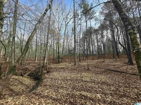 354 Springwell Road Rockford AL 35136