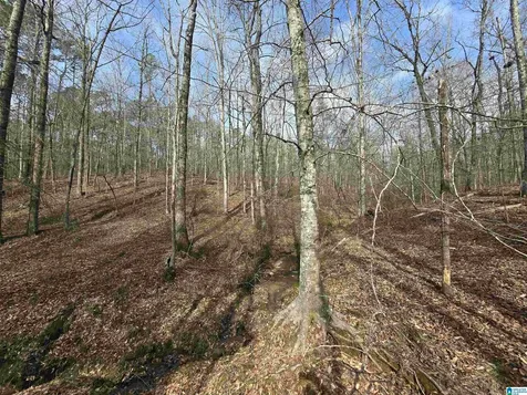 354 Springwell Road Rockford AL 35136