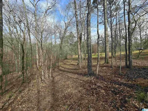 354 Springwell Road Rockford AL 35136