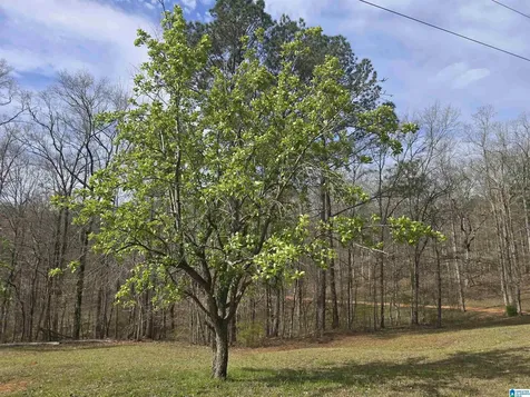 354 Springwell Road Rockford AL 35136