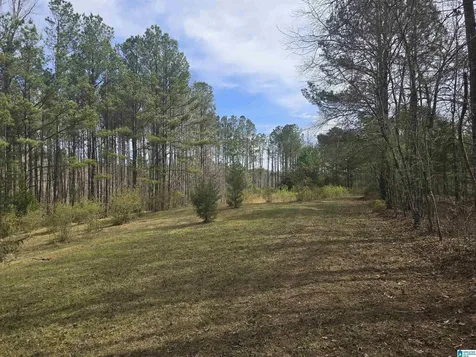 354 Springwell Road Rockford AL 35136
