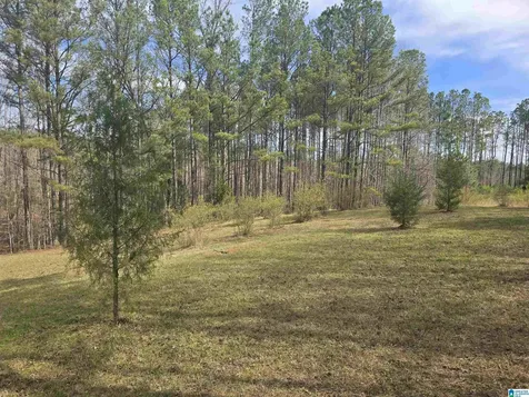 354 Springwell Road Rockford AL 35136