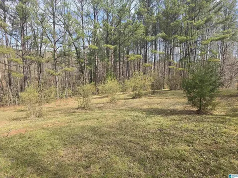 354 Springwell Road Rockford AL 35136