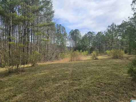 354 Springwell Road Rockford AL 35136