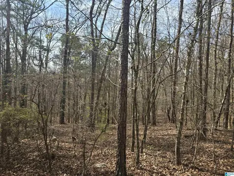 354 Springwell Road Rockford AL 35136