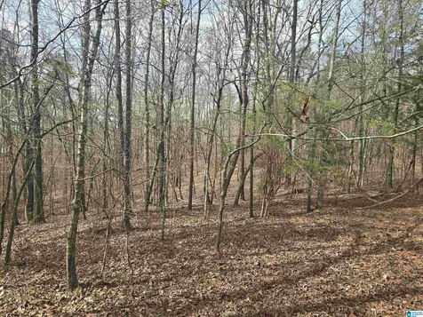 354 Springwell Road Rockford AL 35136