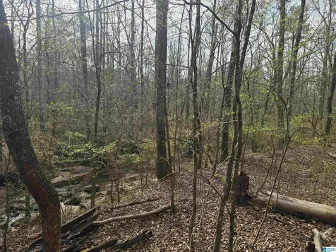 354 Springwell Road Rockford AL 35136
