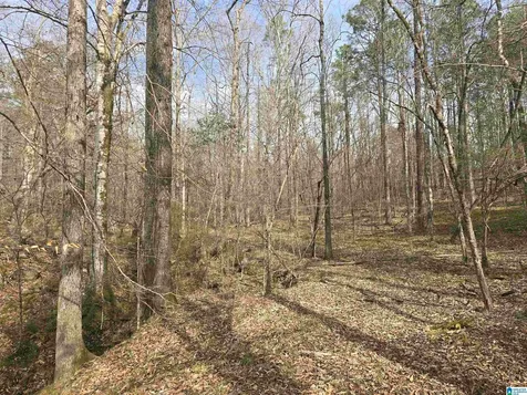 354 Springwell Road Rockford AL 35136