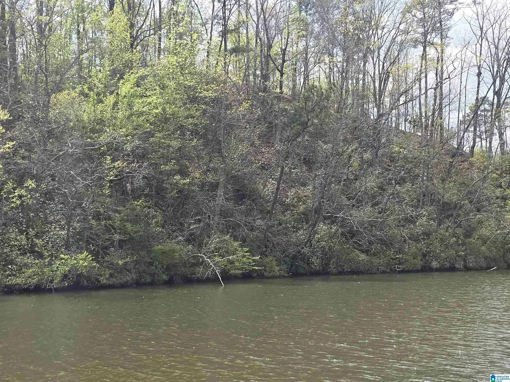 Lot 6 Eagle Mountain Road Rockford AL 35136