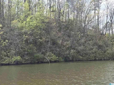 Lot 6 Eagle Mountain Road Rockford AL 35136