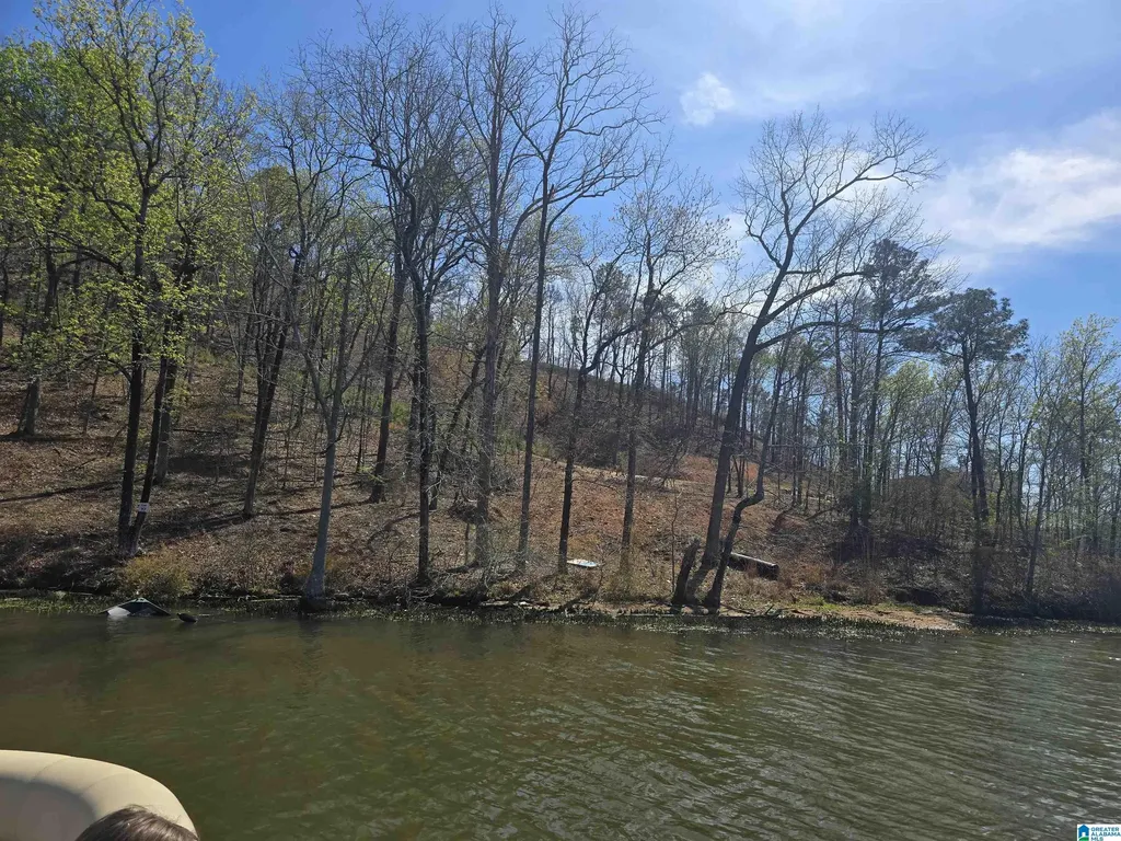 Lot 18 Eagle Point Trace Rockford AL 35136